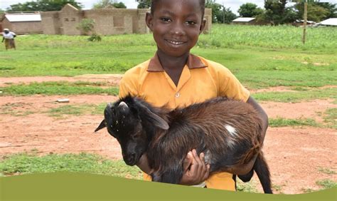 buy a goat for a family|donate a goat for christmas.